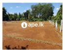 Lands For Sale In PILIYANDALA